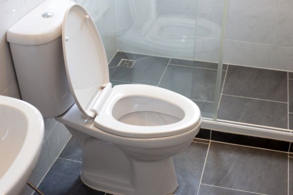 Cost of Toilet Replacement in Zephyrhills