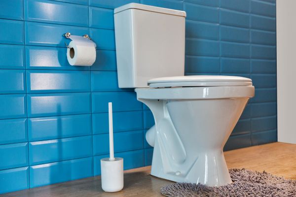 Cost of Toilet Tank Repair in Zephyrhills