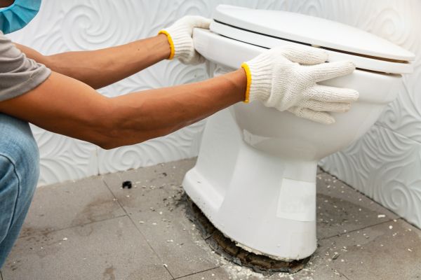 Cost of Toilet Removal in Zephyrhills
