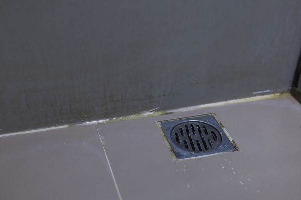 Cost of Bathroom Drain Installation in Zephyrhills