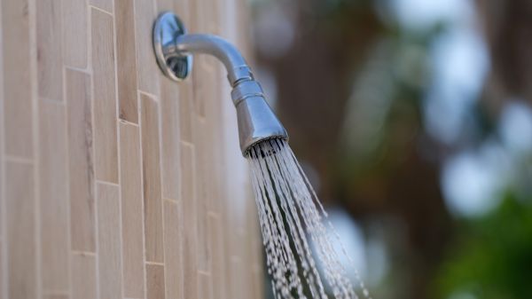 Cost of Showerhead Repair in Zephyrhills