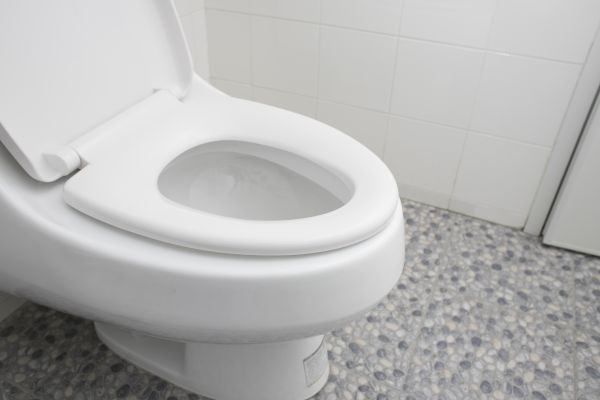 Cost of New Toilet Installation in Zephyrhills