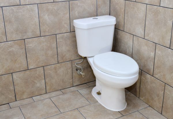 Cost of Basement Toilet Installation in Zephyrhills