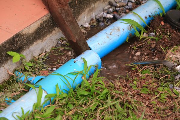 Cost of Broken Pipe Replacement in Zephyrhills